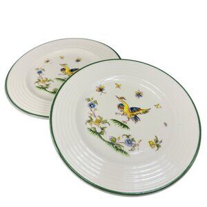 Varages Vieux Fine Porcelain Bird Pattern Plate Dish Set 2 Plates Dishes France